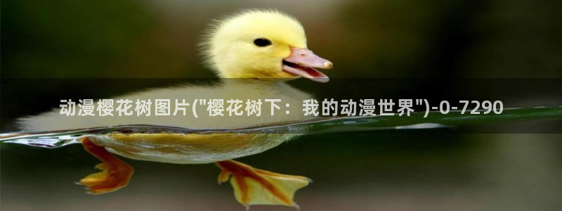 樱花动漫官方版正版入口：动漫樱花树图片(\