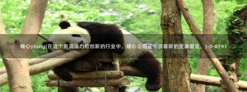 糖心vlog视频在线