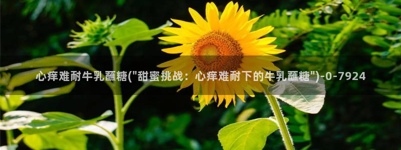 糖心vlog网站版