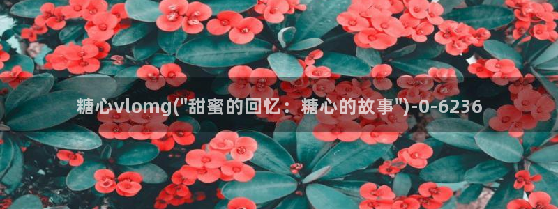 糖心vlog官网版下载