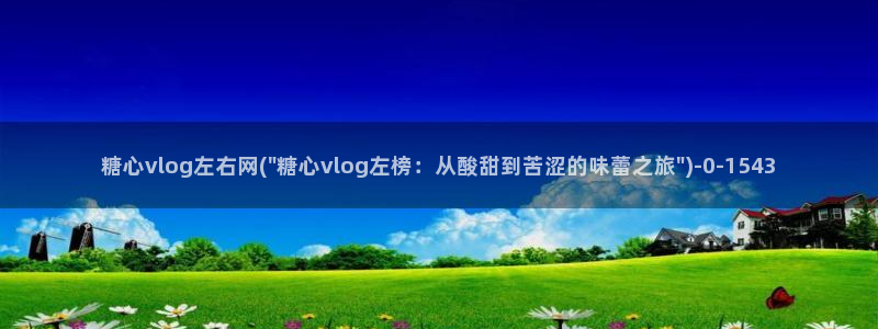 糖心vlog官网
