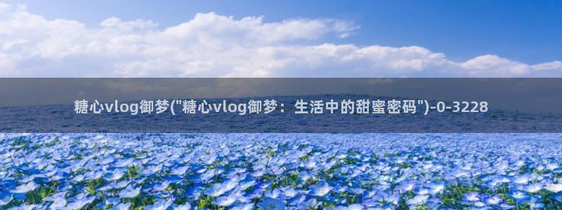 糖心出品vlog
