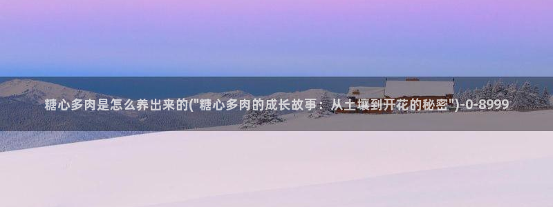 糖心vlogtv