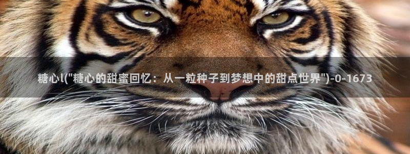 糖心vlog破解版